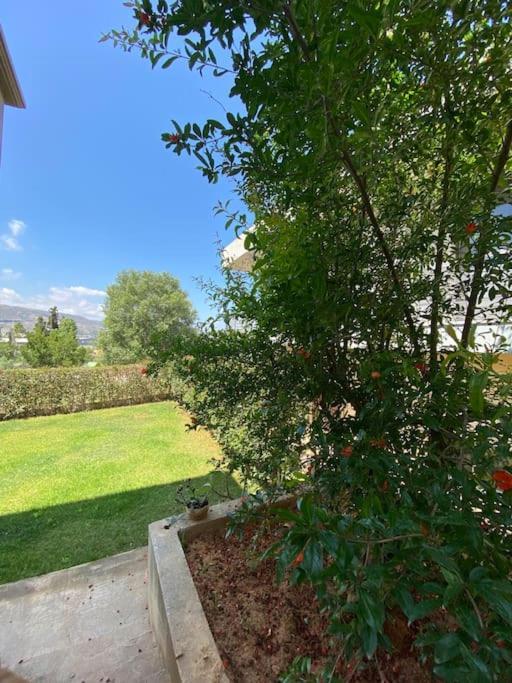 חאניה Nickolas Tiny Apartment Souda-Chania מראה חיצוני תמונה